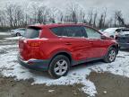Lot #3319158535 2013 TOYOTA RAV4 XLE