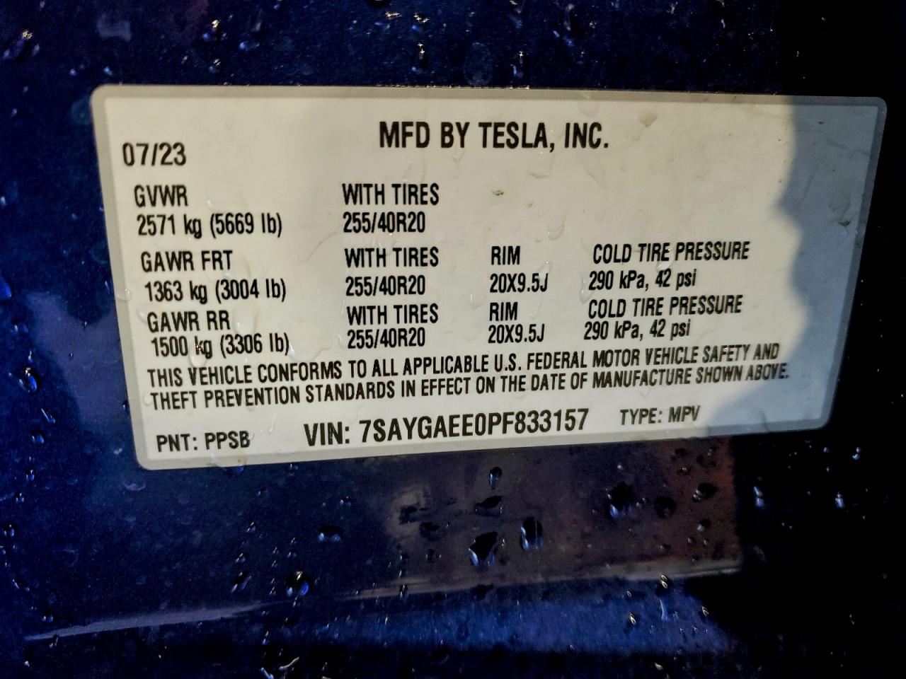 TESLA MODEL Y