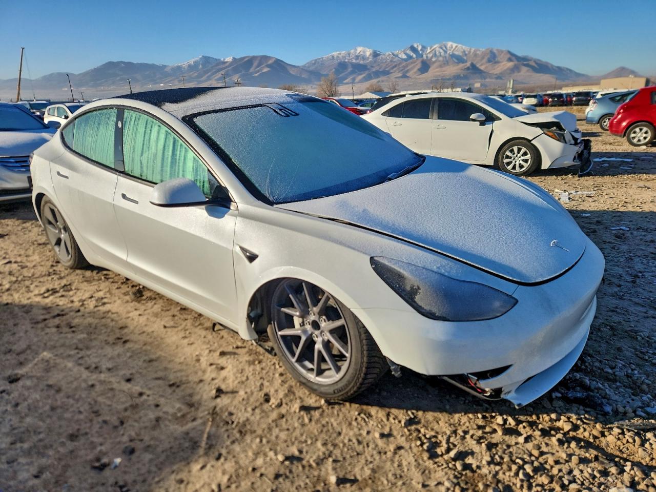 Lot #3317166255 2023 TESLA MODEL 3