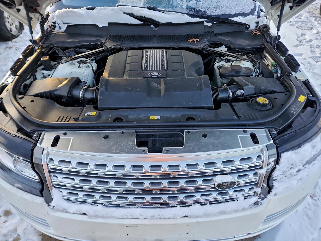 Lot #3316737408 2017 LAND ROVER RANGE ROVE