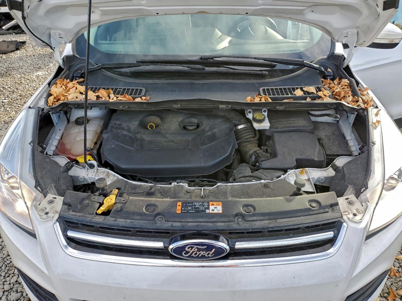 FORD ESCAPE TITANIUM