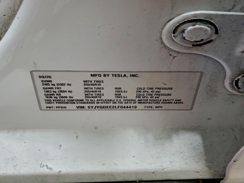 2020 TESLA MODEL Y #3305583099