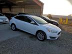 Lot #3318978931 2017 FORD FOCUS SE
