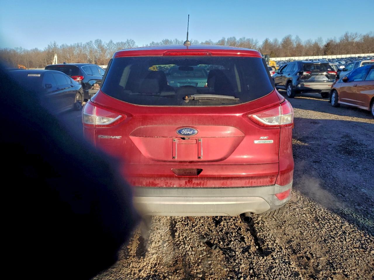 Lot #3312321783 2015 FORD ESCAPE SE
