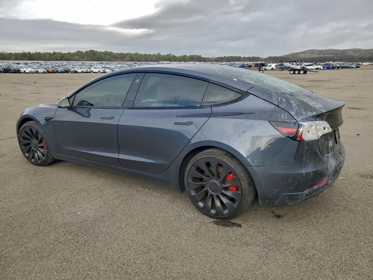 TESLA MODEL 3