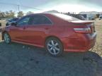 Lot #3301589645 2008 TOYOTA CAMRY LE