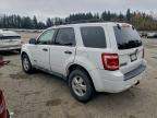 Lot #3302964637 2008 FORD ESCAPE XLT