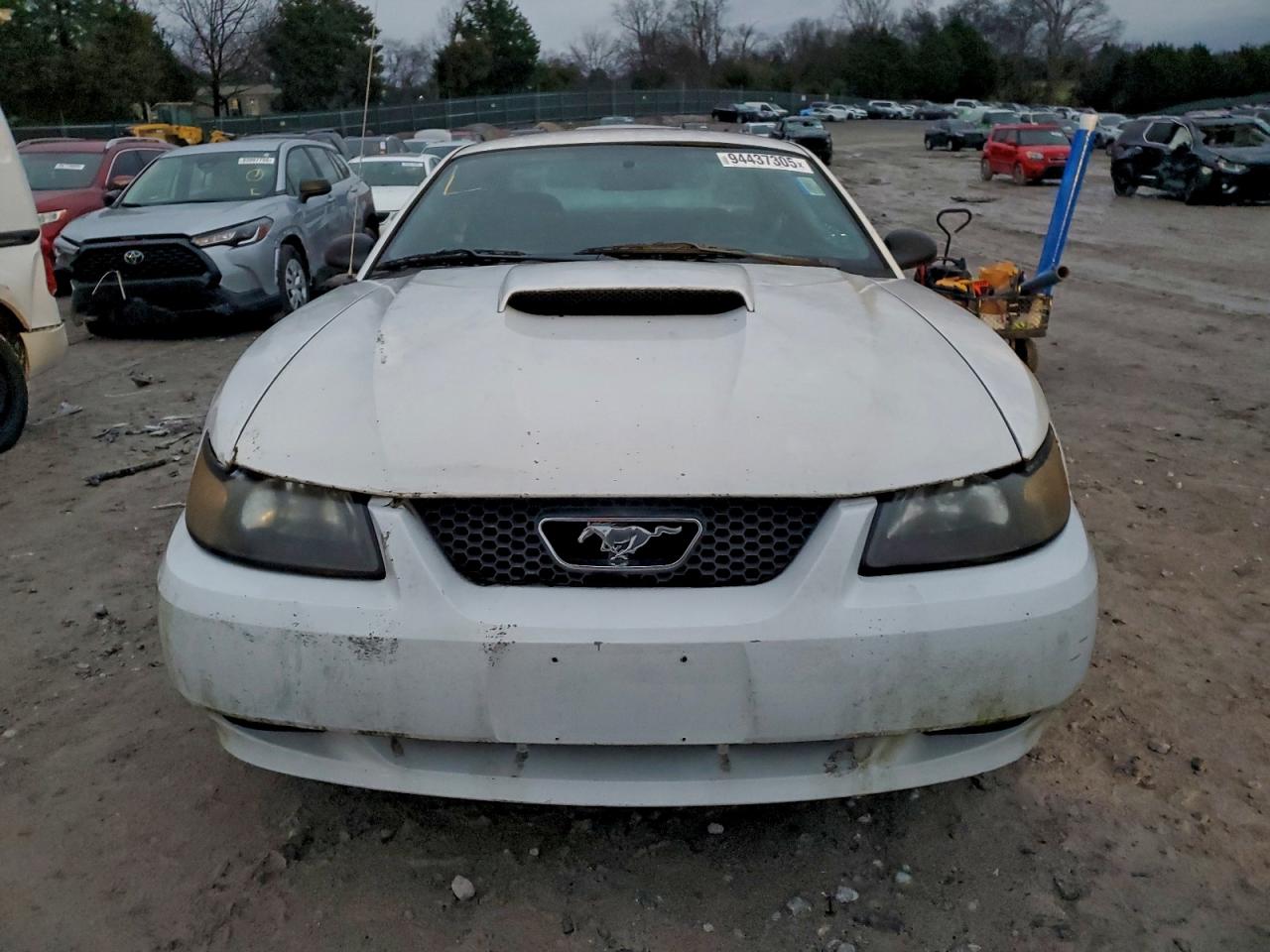 Lot #3303639929 2003 FORD MUSTANG GT