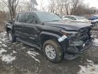 Lot #3312267798 2024 TOYOTA TACOMA DOU