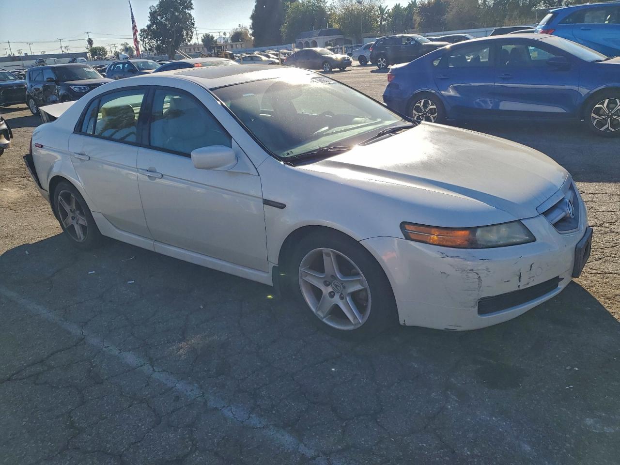 Lot #3311635248 2006 ACURA 3.2TL