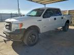 Lot #3311479271 2013 FORD F150 SUPER