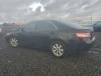 Lot #3310388023 2011 TOYOTA CAMRY BASE