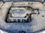 Lot #3303788425 2009 ACURA TL