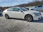 Lot #3311543245 2007 NISSAN MAXIMA SE