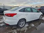 Lot #3309453963 2016 FORD FOCUS SE