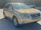 Lot #3301660681 2010 LEXUS RX 450H