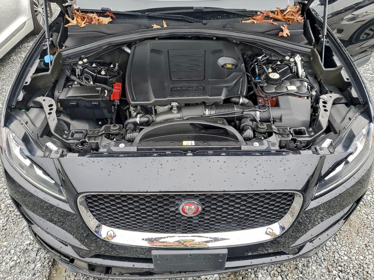 Lot #3310416968 2020 JAGUAR F-PACE PRE