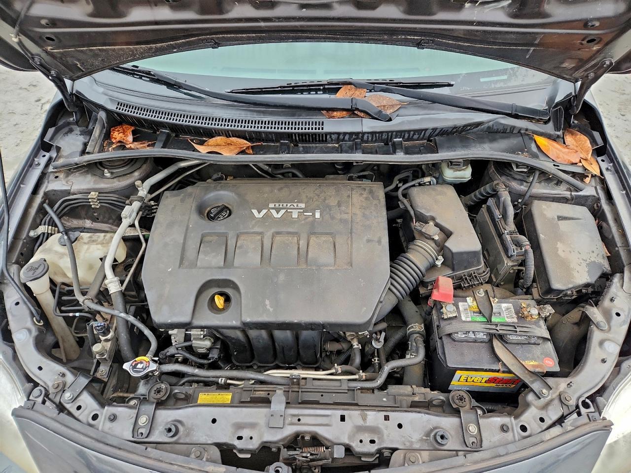 Lot #3308279214 2010 TOYOTA COROLLA BA