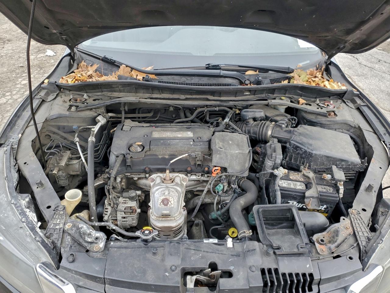 Lot #3316716454 2015 HONDA ACCORD EXL