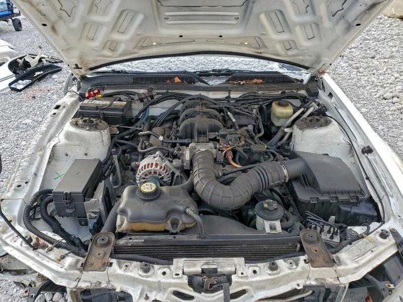 2007 FORD MUSTANG #3301869049