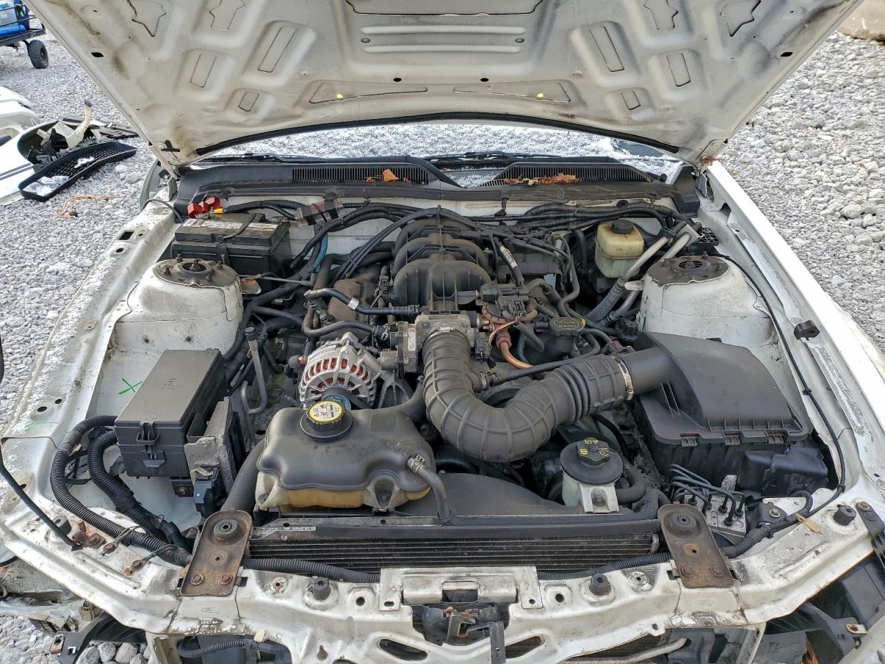 Lot #3301869049 2007 FORD MUSTANG