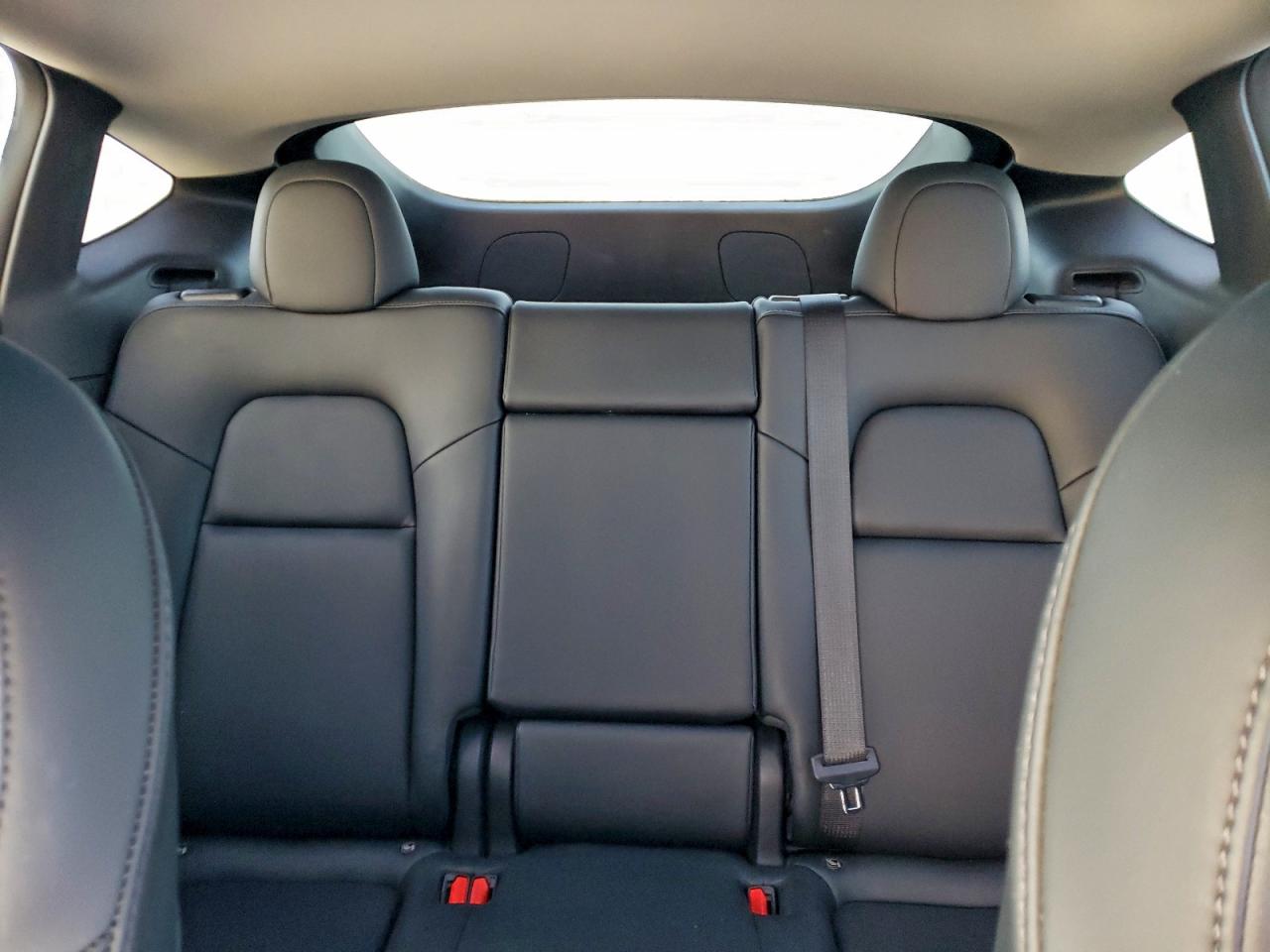 Lot #3320006473 2022 TESLA MODEL Y