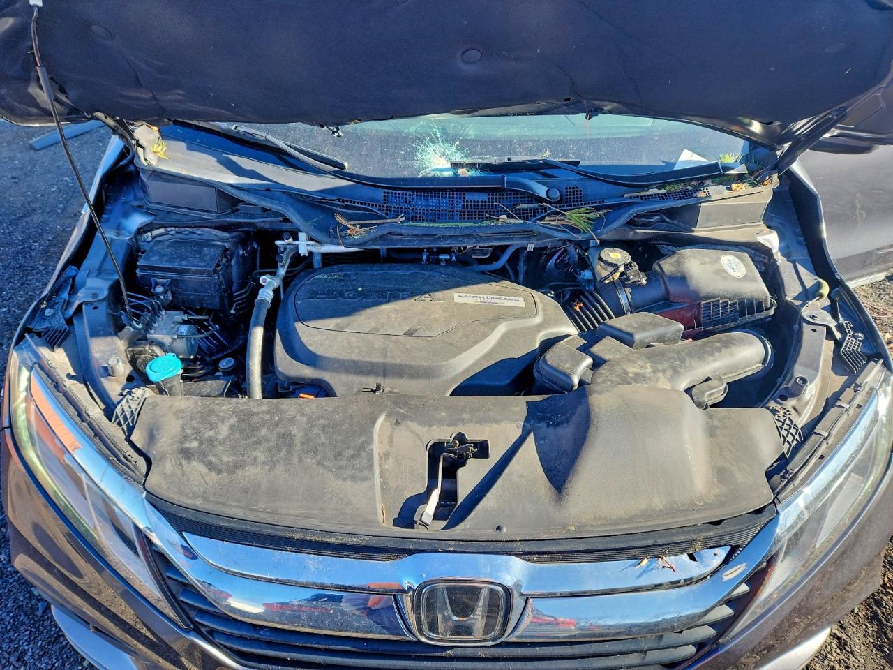 Honda Odyssey Exl Image 12