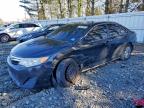 Lot #3304748949 2013 TOYOTA CAMRY L