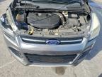 Lot #3311486311 2014 FORD ESCAPE TIT