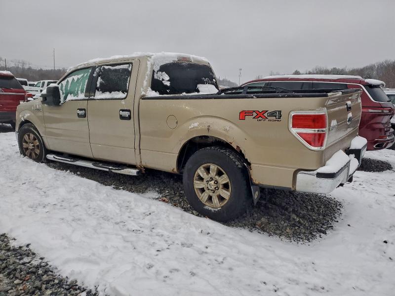 2010 FORD F150 SUPER #3304692936