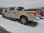 Lot #3304692936 2010 FORD F150 SUPER