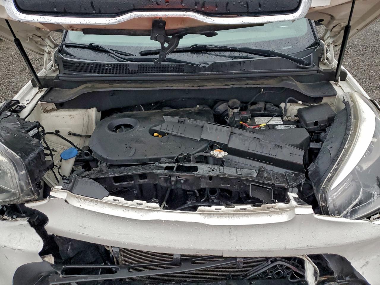 Lot #3316081275 2014 KIA SOUL +