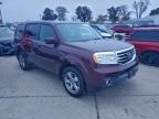 Lot #3303718422 2014 HONDA PILOT EXL