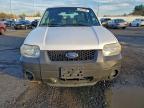Lot #3304814558 2007 FORD ESCAPE XLS