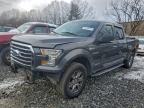 Lot #3304692935 2016 FORD F150 SUPER