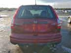 Lot #3318875013 2011 HONDA CR-V LX