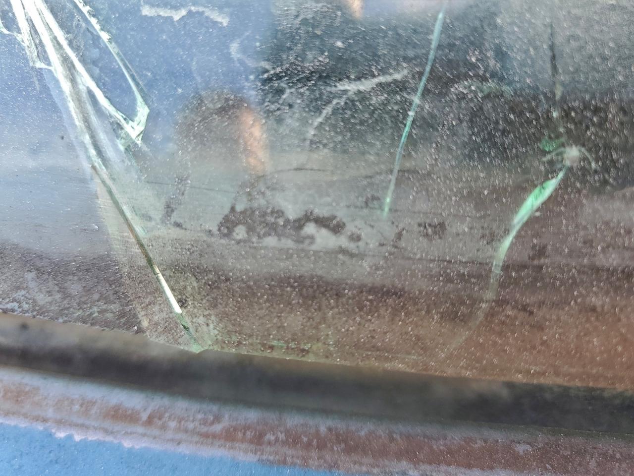 Lot #3315951161 1981 FORD F100