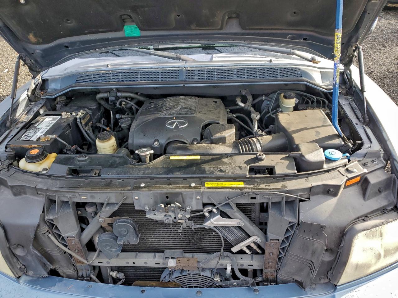 Lot #3305655760 2008 INFINITI QX56