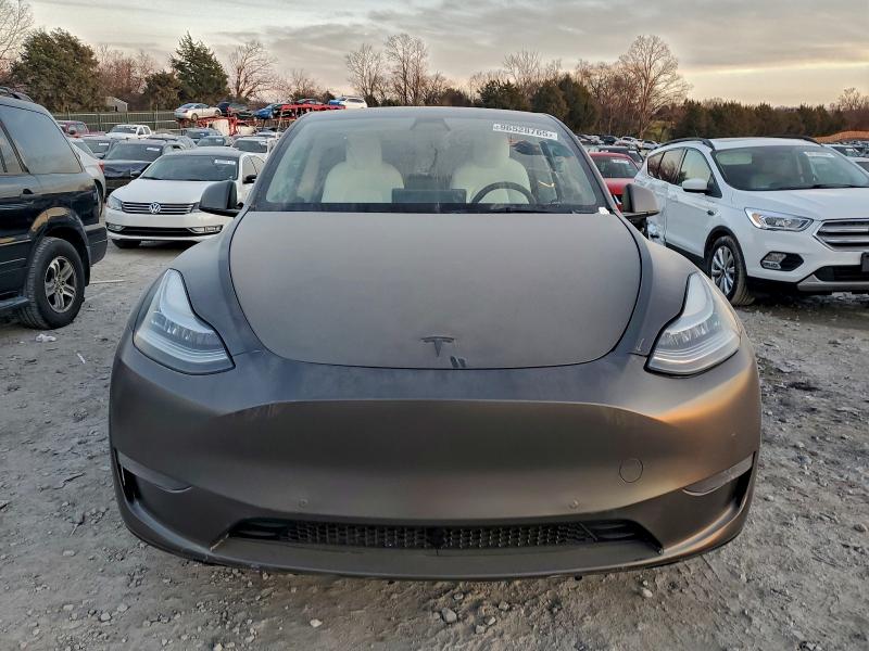 2021 TESLA MODEL Y #3315633773