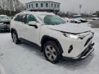 Lot #3305482077 2021 TOYOTA RAV4 XLE