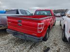 Lot #3304514450 2013 FORD F150