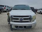 Lot #3301639646 2013 FORD F150
