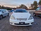 Lot #3305303372 2003 LEXUS ES 300