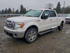 Lot #3305493132 2010 FORD F150 SUPER