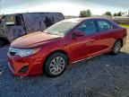 Lot #3310446357 2014 TOYOTA CAMRY L