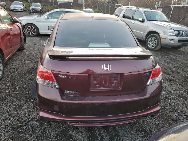 2010 HONDA ACCORD EXL #3306393557