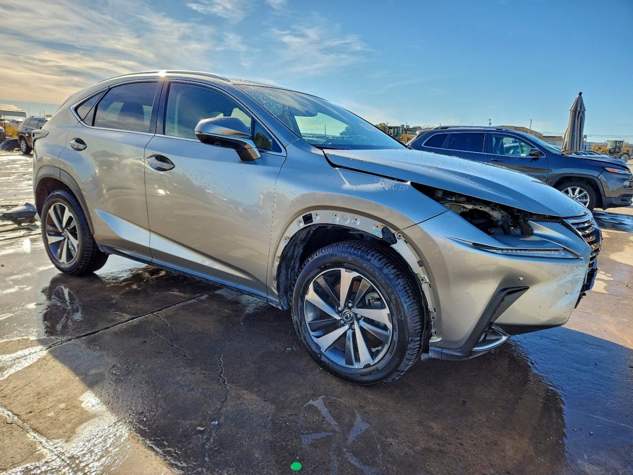 LEXUS NX 300