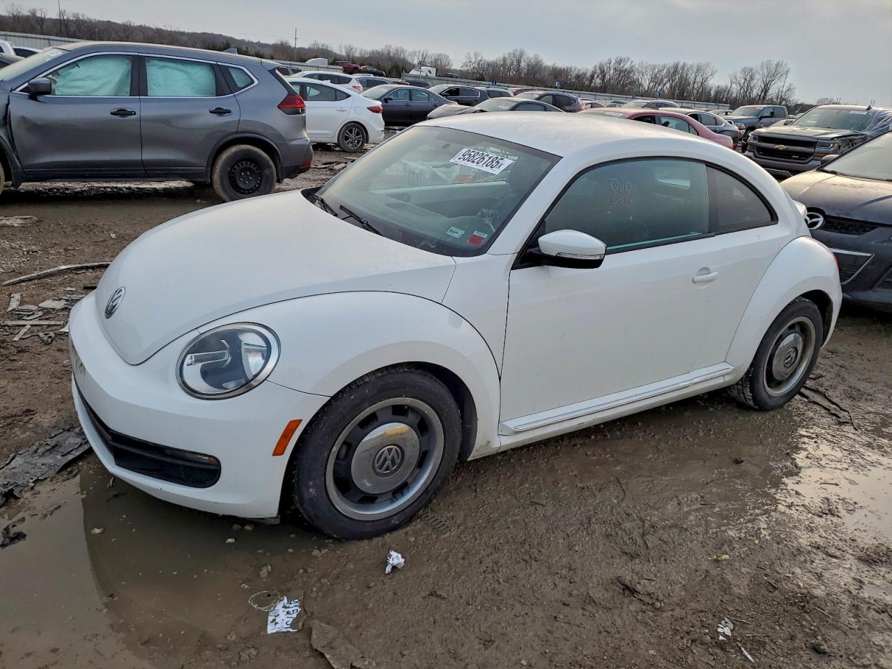 VOLKSWAGEN BEETLE