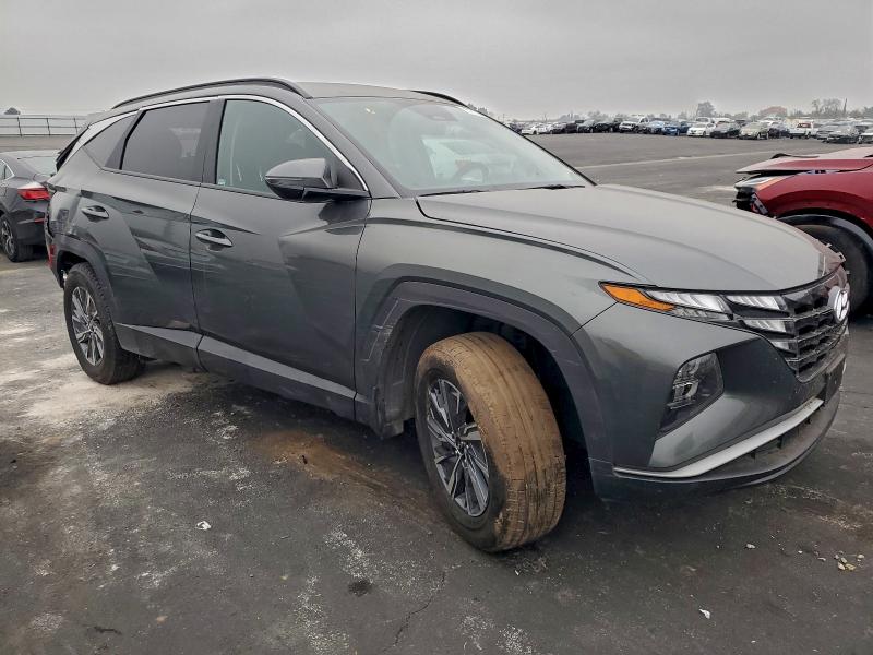 2023 HYUNDAI TUCSON BLU #3319841263
