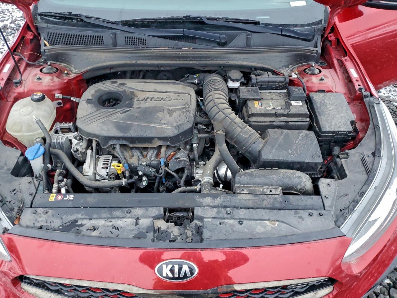 Lot #3309413967 2021 KIA FORTE GT